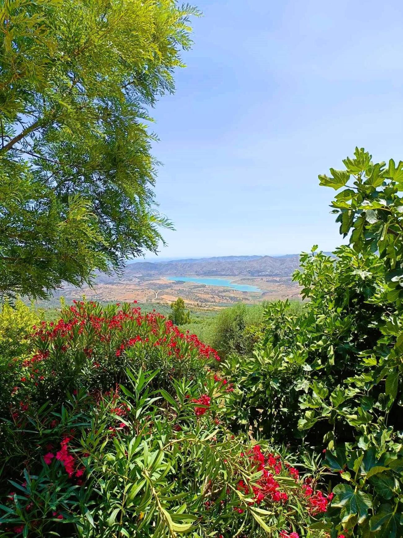 Casa Shyshka Country Cottage Periana Buitenkant foto